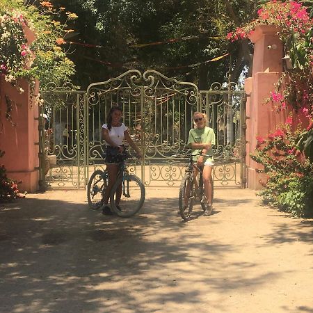 Ica Adventures Bed & Breakfast Ngoại thất bức ảnh