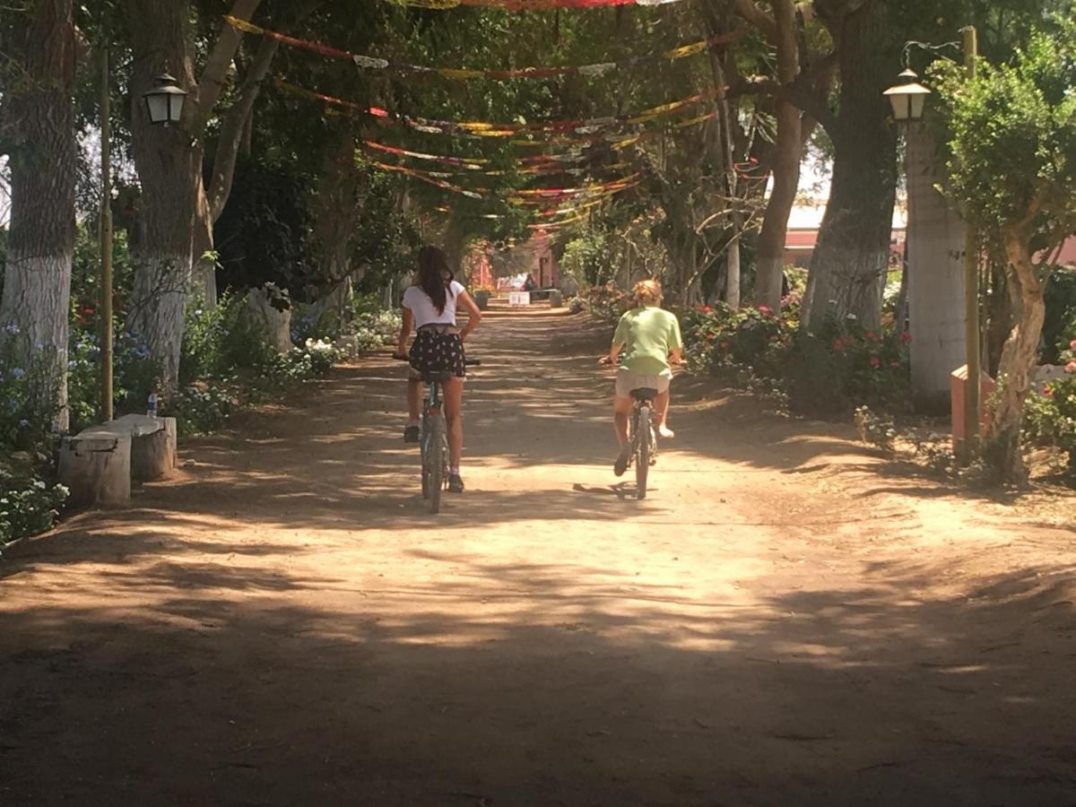 Ica Adventures Bed & Breakfast Ngoại thất bức ảnh